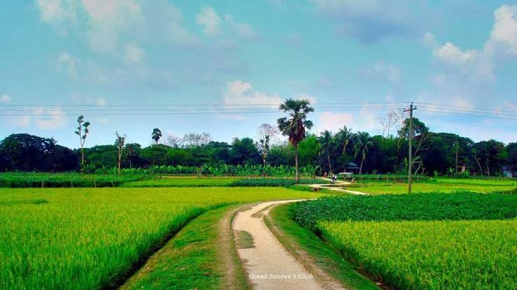 Image result for village bangladsh"