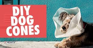 diy dog cones that provide more comfort
