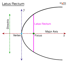 Latus Formulas Examples And
