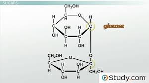 carbohydrate structure formula types