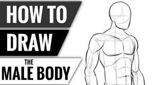 how to draw the male body at 3