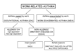 Diagnosis Of Occupational Asthma World Allergy Organization