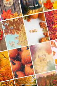 55 best fall phone backgrounds free