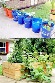Container Vegetable Garden Ideas