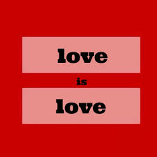 Image result for love is love