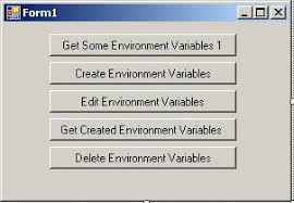 environment variables in net application