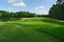 Imperial Lakewood Golf Club Homes & Real Estate: Palmetto FL
