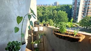 Grow Food In An Apartment Or Condo