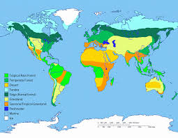 Rainforests can be tropical, subtropical, and temperate forests. Biomes Of The World Ask A Biologist