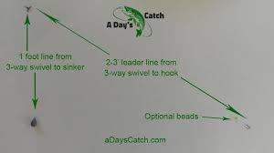 How To Catch Walleye From Shore A Day