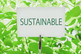 What is the True Meaning of Sustainable? Here is the SDGs' Explanation