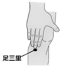 東洋医学特別コラム第2回「知っておくと良いツボ『足三里』」（全3回）｜教職員コラムリレー｜仙台赤門短期大学 看護学科 さん