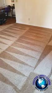 universal carpet cleaning