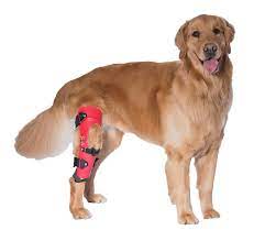 custom knee braces for dogs torn acl