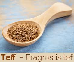 teff facts and health benefits
