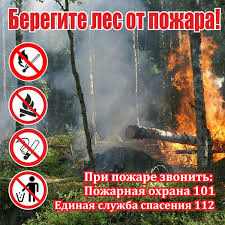 Берегите лес от огня!