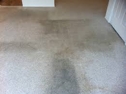 pure carpet care carpet cleaning new