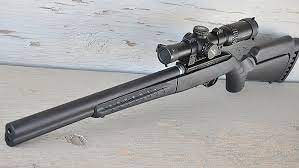 ruger american target 22 and