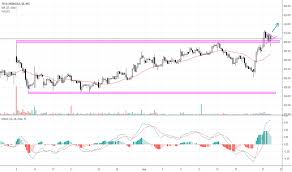 Tatachem Stock Price And Chart Nse Tatachem Tradingview