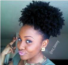 Image result for natural hair high puff