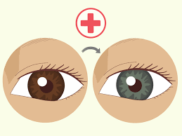 7 manières de avoir les yeux bleus - wikiHow
