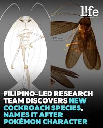 PhilSTAR L!fe on X: The new insect species, Nocticola pheromosa, is named  after after Pheromosa due to their similar features. Pheromosa is a  “dual