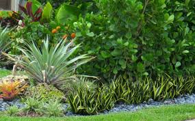 South Florida Landscaping Ideas