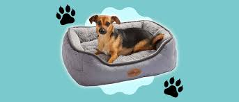 the best dog beds for your furry