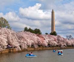 top attractions in dc best things to