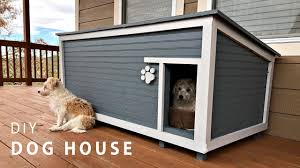 diy insulated dog house build you