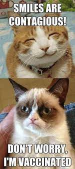 13 of The Best Memes From 2013 | Funny grumpy cat memes, Funny cat memes,  Grumpy cat
