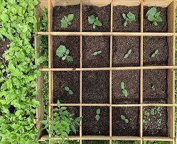 Square Foot Gardening Planner Guide