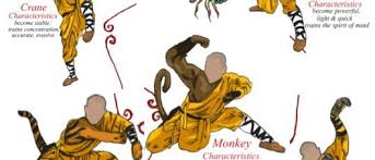 shaolin monks daily life and training