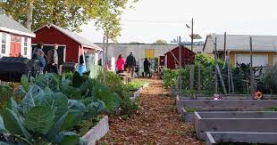 urban agriculture a layered approach