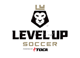 Level Up Soccer Training Logo Design Soccerlogo