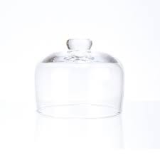 Glass Display Cover Cloche Bell Dome