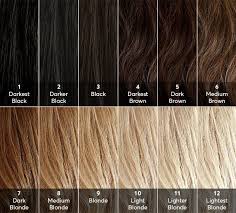 Most hair colors are numbered on a level system between 1 and 10. Dear Color Crew What Level Is My Hair Blonde Hair Color Chart Hair Levels Hair Shades