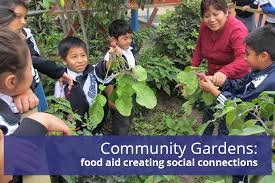 Community Gardens Stop Hunger