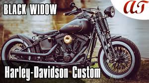 harley davidson cross bones custom
