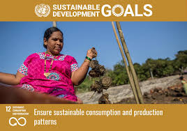 SDG 12: Sustainable Consumption And Production