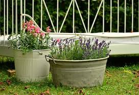 Container Gardening A Neat Little Way