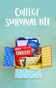 Make a big brand impression with promotional products they'll be grateful to find. College Survival Kit Alexa Zurcher
