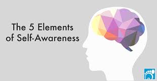 the 5 elements of self awareness