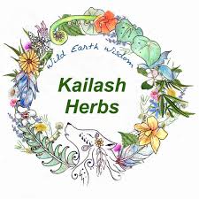 yellow dock tincture kailash herbs
