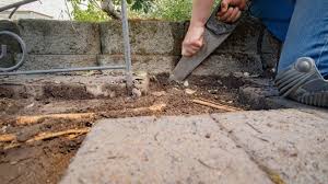 How To Remove Tree Roots Under Pavers