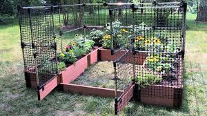 Animal Barrier Raised Garden Bed