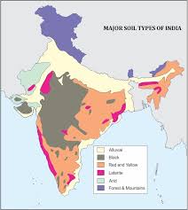 1mark The Major Soil Types In India In A Political Mapa And