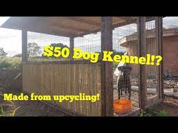 how to build a dog kennel for under 50