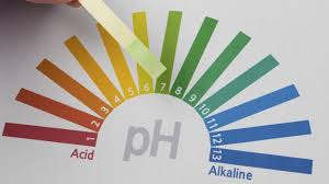 The Role Of Ph Level In Cleaning