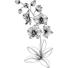 41 tattoo vorlagen, zeichnungen und skizzen: Vorlagen Fur Tattoos Mit Blumen Z B Lilie Oder Orchidee